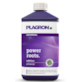 POWER ROOTS   1L, STYMULATOR KORZENI, UKORZENIACZ,  PLAGRON