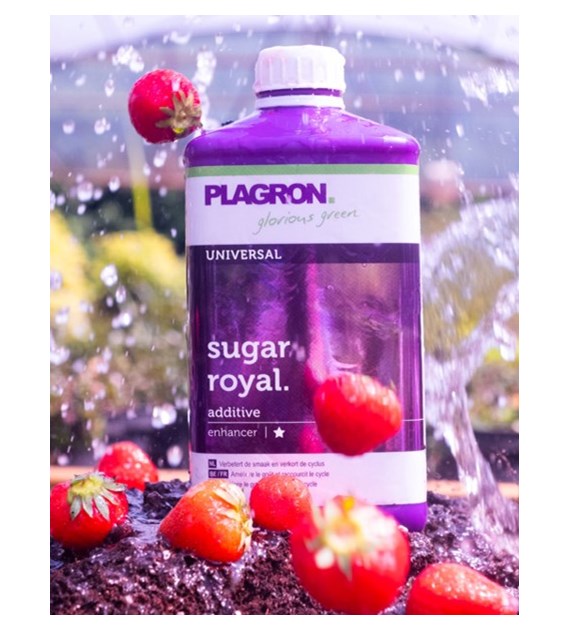 SUGAR ROYAL  250ml/0,25L, POPRAWIA SMAK I SKARACA OKRES UPRAWY, PLAGRON