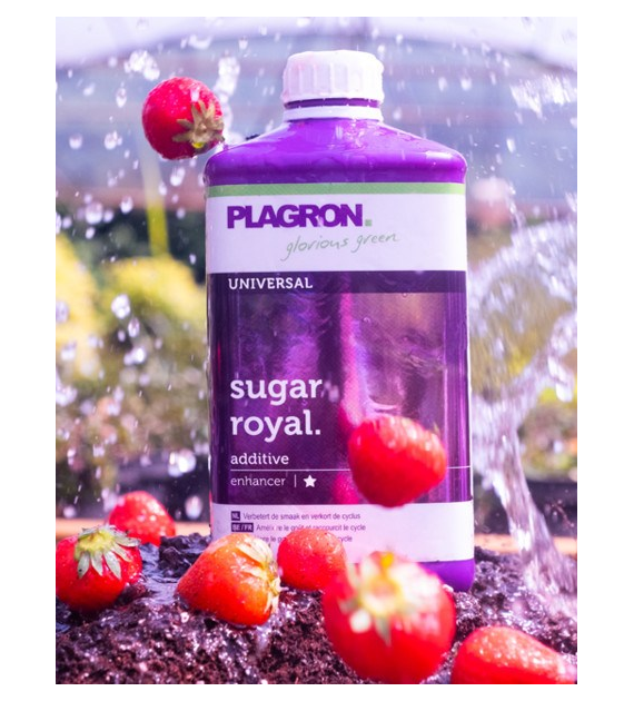 SUGAR ROYAL 1L, POPRAWIA SMAK I SKARACA OKRES UPRAWY, PLAGRON