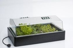 PODGRZEWANY PROPAGATOR, 60x40xh25cm, 50W, 230V