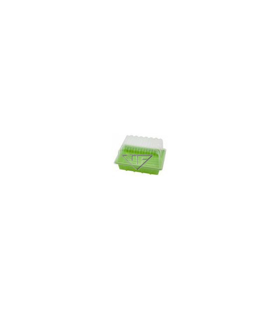 SZKLARENKA / PROPAGATOR / UKORZENIACZ 23.5x18xh14cm, szklarnia