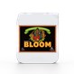 BLOOM pH PERFECT 5L, NAWÓZ NA KWITNIENIE, (gleba, hydro, kokos), ADVANCED NUTRIENTS