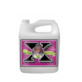BUD FACTOR-X 0.25l/250ML STYMULATOR WZMACNIAJĄCY ODPORNOŚĆ, (gleba, hydro, kokos), ADVANCED NUTRIENTS
