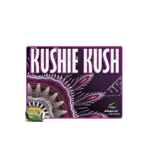 !-KUSHIE KUSH 1L, STYMULATOR KWITNIENIA, (gleba, hydro, kokos), ADVANCED NUTRIENTS