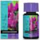 B'CUZZ BLOSSOM BUILDER 50ml, STYMULATOR ZWIĘKSZAJĄCY MASĘ I WIELKOŚC KWIATÓW, ATAMI