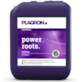 POWER ROOTS  5L, STYMULATOR KORZENI, UKORZENIACZ,  PLAGRON