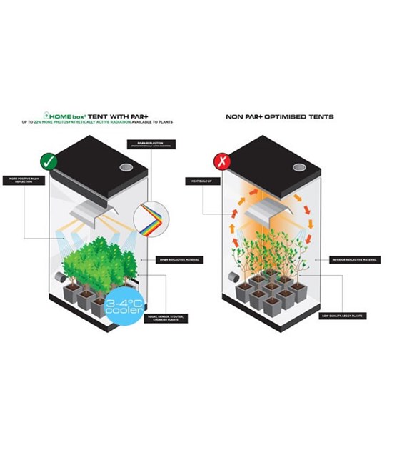 30x30 x60cm, HOMEBOX AMBIENT WHITE Q30, PAR+, GROWBOX, SZAFA, NAMIOT UPRAWOWY