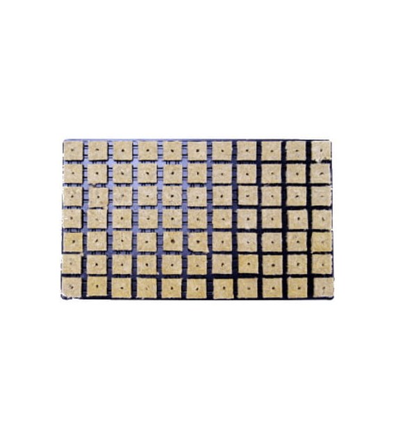 WEŁNA MINERLANA GRODAN W PLASTIKOWEJ TACY, KOSTKI 3.6x3.6xh4cm- 77szt