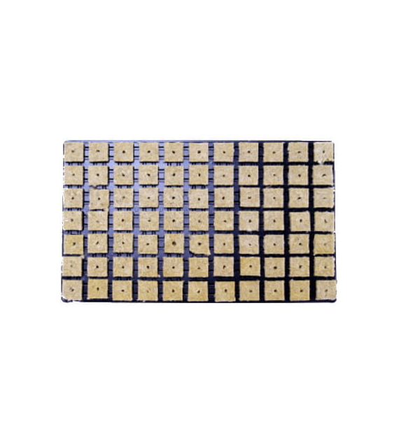 WEŁNA MINERLANA GRODAN W PLASTIKOWEJ TACY, KOSTKI 3.6x3.6xh4cm- 77szt