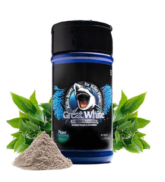 MIKORYZA W PROSZKU, GREAT WHITE PREMIUM MYCORRHIZAE  28,3g, PLANT SUCCESS, mykoryza