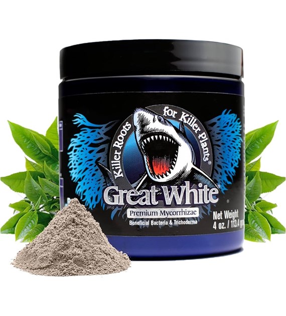 MIKORYZA W PROSZKU, GREAT WHITE PREMIUM MYCORRHIZAE 113,4g, PLANT SUCCESS, mykoryza