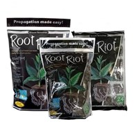 ROOT RIOT, KOSTKI DO WYSIEWU 100szt. - GROWTH TECHNOLOGY