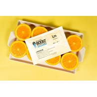 REGULATOR WILGOTNOŚCI DO SUSZU ROŚLINNEGO - INTEGRA BOOST TERPENE ESSENTIALS LIMONENE 67G / 62%, UWALNIA LUB POCHŁANIA WILGOĆ + TERPENY , do 67g suszu, poprawia smak