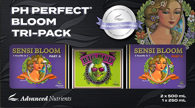 PH PERFECT BLOOM TRI-PACK, ZESTAW NAWOZÓW SENSI BLOOM AB 500ML + STYMULATOR BIG BUD 250ML NA FAZĘ KWITNIENIA (gleba, hydro, kokos), ADVANCED NUTRIENTS