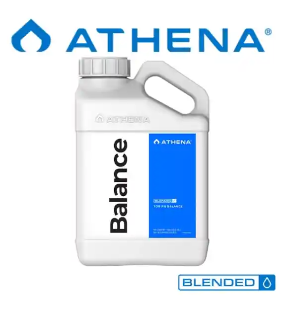 BALANCE 946ML - BUFORUJE ROZTWORY, STABILIZUJE pH + KRZEM, ATHENA Blended