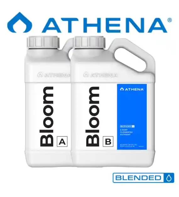 BLOOM A+B (2x)946ML - DWUCZĘŚCIOWY NAWÓZ NA FAZĘ KWITNIENIA, ATHENA Blended