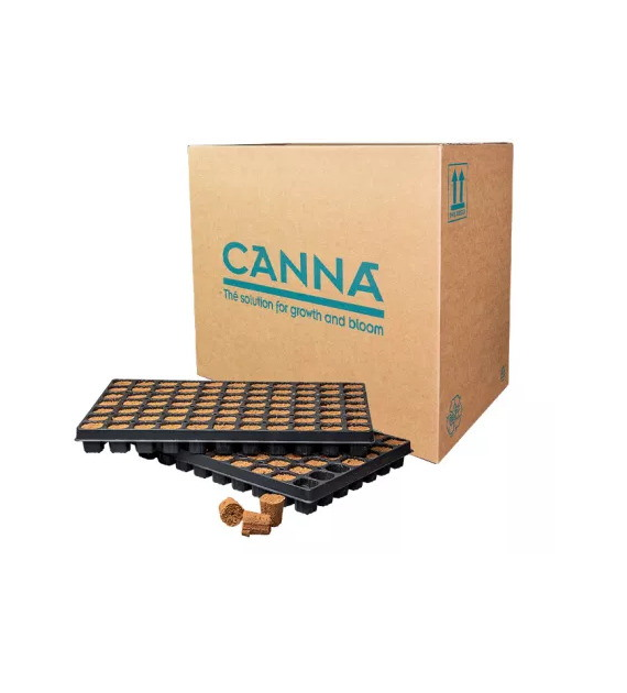 TACA + PODŁOŻE DO WYSIEWU - CANNA ROOTPLUGS  77szt. 51x31cm ( kostka 40x40xh48mm) eazy plug, root riot