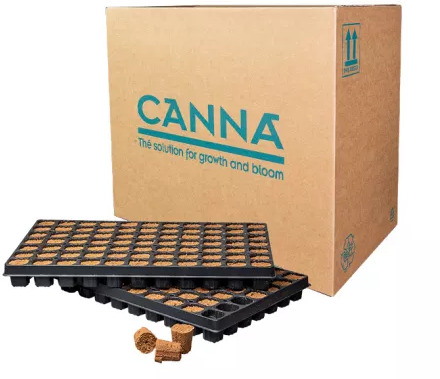 TACA + PODŁOŻE DO WYSIEWU - CANNA ROOTPLUGS  77szt. 51x31cm ( kostka 40x40xh48mm) eazy plug, root riot