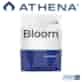 PRO BLOOM  11,34KG / 1 SZT.  NAWÓZ W PROSZKU NA KWITNIENIE, DO ROZROBIENIA Z WODĄ, ATHENA Pro