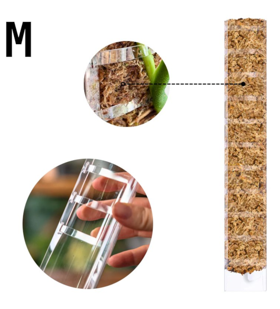 PALIK Z OTWIERANYM FRONTEM  M  39,5x6cm, DO NAPEŁNIENIA MCHEM TYPU SPAGNHUM, PLANTSCRAPER MOSS POLE