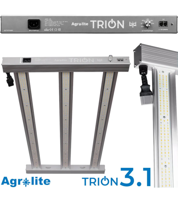 LAMPA LED 300W AGROLITE TRION 3,1µmol/J, OŚWIETLA 120x60cm / 100x100cm,  FULL SPECTRUM, DO UPRAWY ROŚLIN