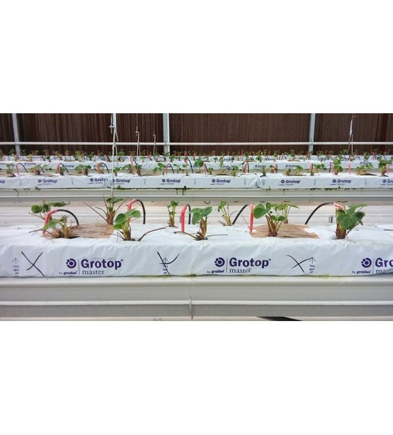 WEŁNA MINERLANA GRODAN, MATA GROTOP MASTER 100x15x7.5cm