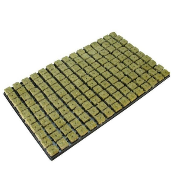 WEŁNA MINERLANA GRODAN W PLASTIKOWEJ TACY, KOSTKI 2.5x2.5xh4cm- 150szt
