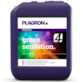 GREEN SENSATION 5L, STYMULATOR KWITNIENIA, PLAGRON