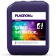 GREEN SENSATION 5L, STYMULATOR KWITNIENIA, PLAGRON